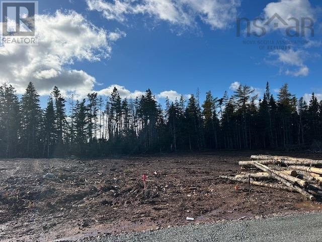 Lot 13 Northside Drive, St. Peter's, Nova Scotia  B0E 3B0 - Photo 2 - 202527340