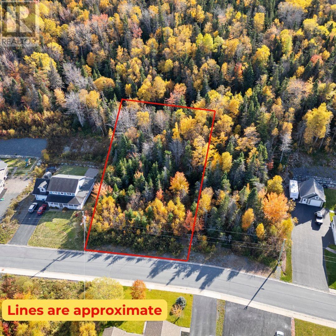 39 Clearwater Drive, Clarenville, Newfoundland & Labrador  A5A 4P5 - Photo 2 - 1292303