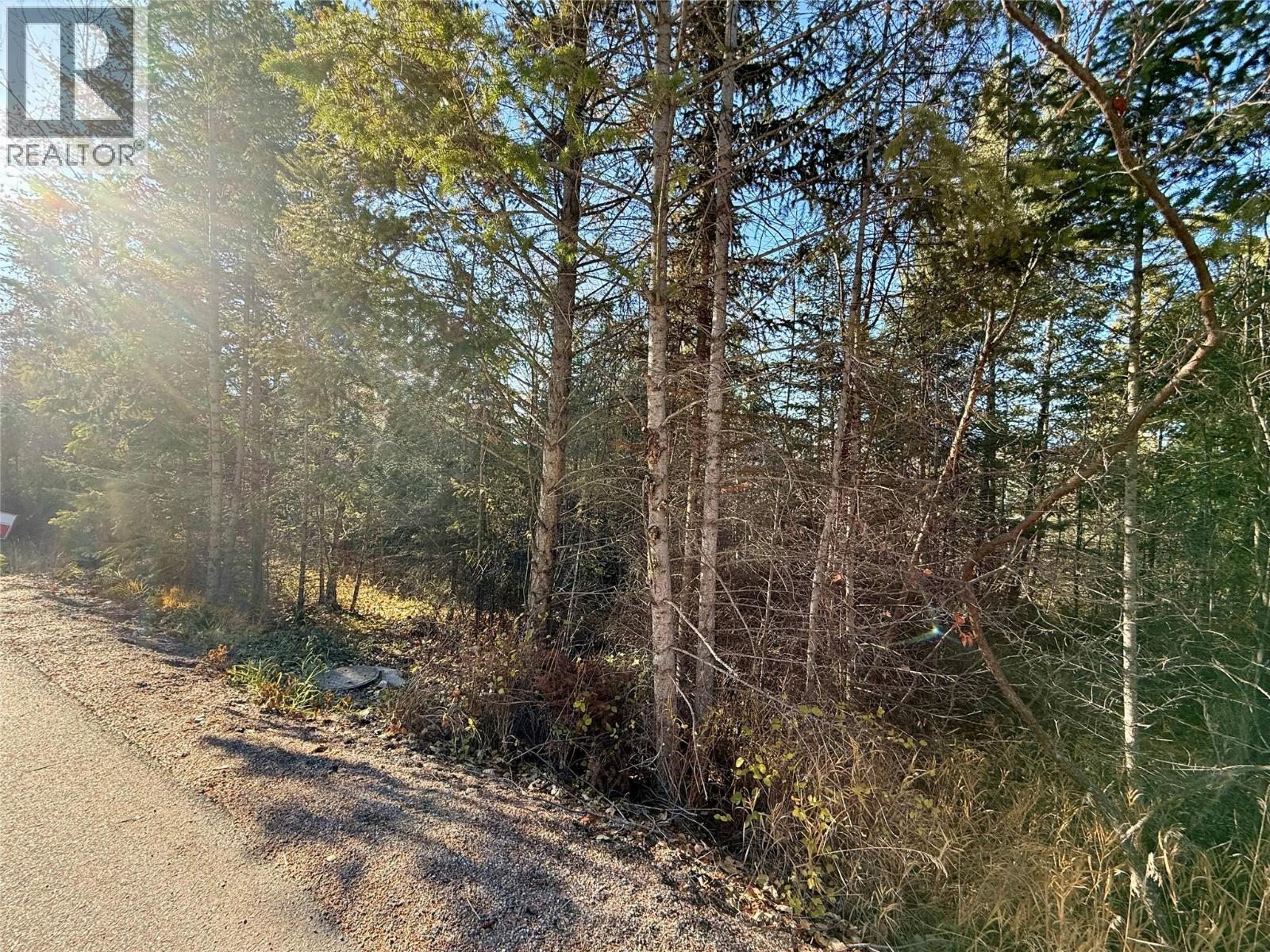 5185 Hot Springs Road, Fairmont Hot Springs, British Columbia  V0B 1L1 - Photo 19 - 10366968