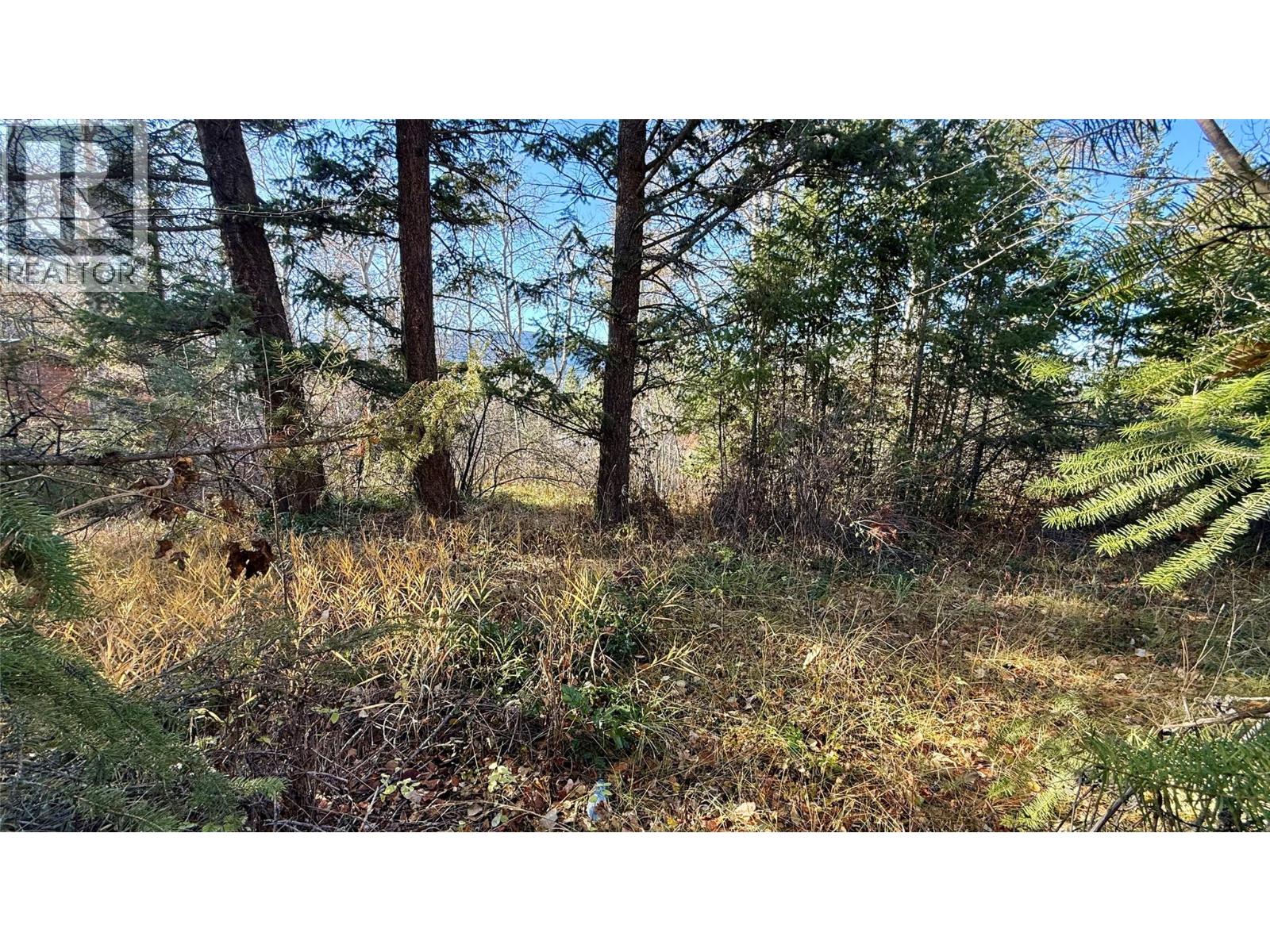 5185 Hot Springs Road, Fairmont Hot Springs, British Columbia  V0B 1L1 - Photo 21 - 10366968