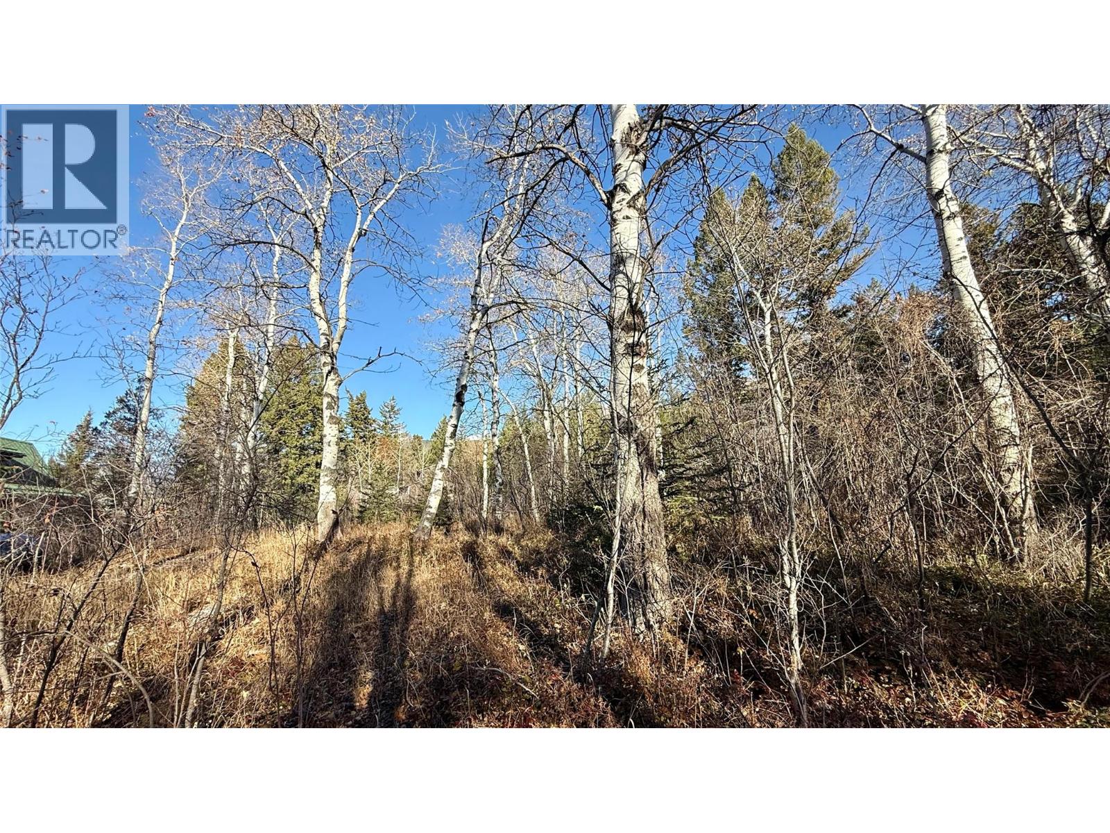 5185 Hot Springs Road, Fairmont Hot Springs, British Columbia  V0B 1L1 - Photo 27 - 10366968