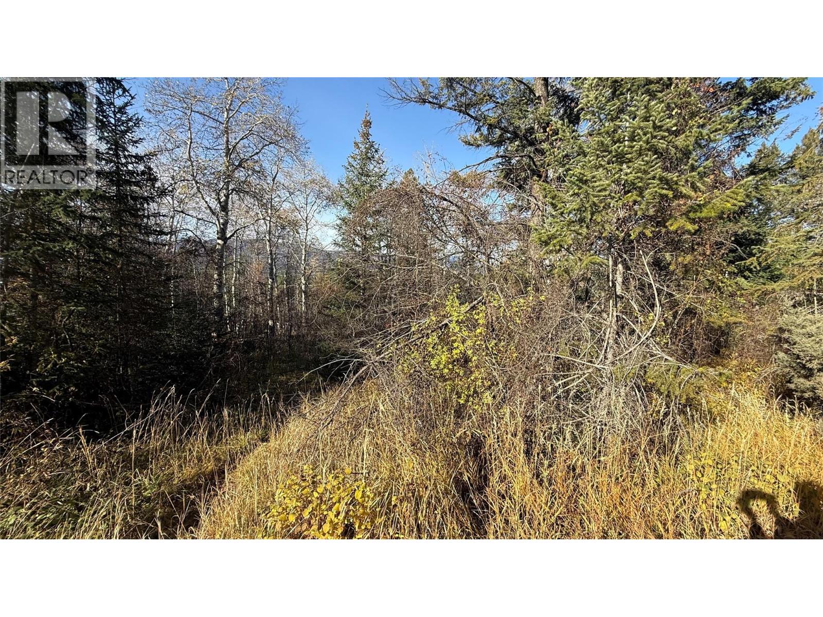 5185 Hot Springs Road, Fairmont Hot Springs, British Columbia  V0B 1L1 - Photo 6 - 10366968