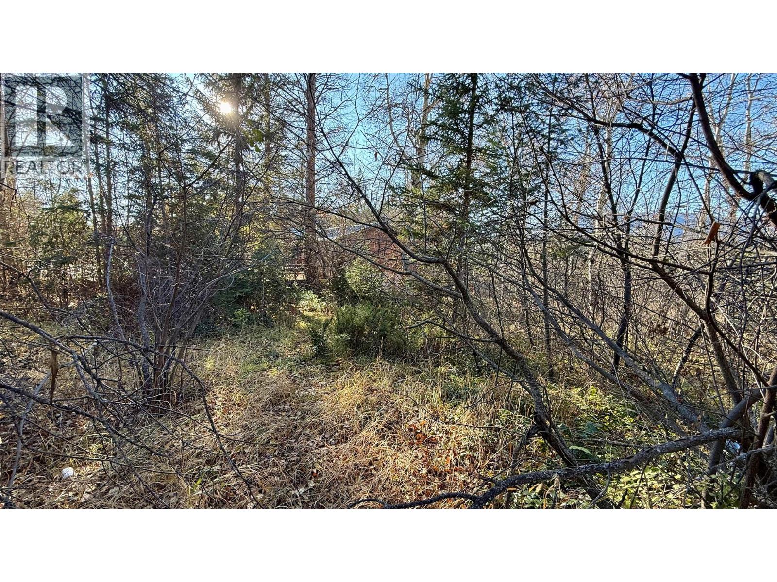 5185 Hot Springs Road, Fairmont Hot Springs, British Columbia  V0B 1L1 - Photo 22 - 10366968