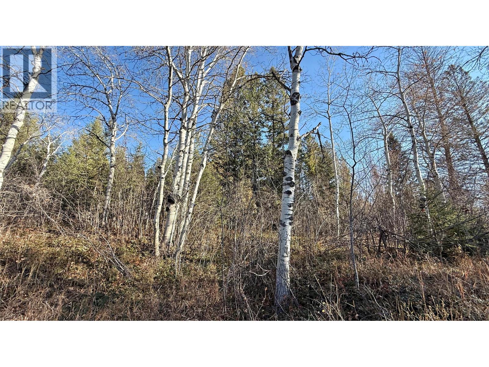 5185 Hot Springs Road, Fairmont Hot Springs, British Columbia  V0B 1L1 - Photo 28 - 10366968