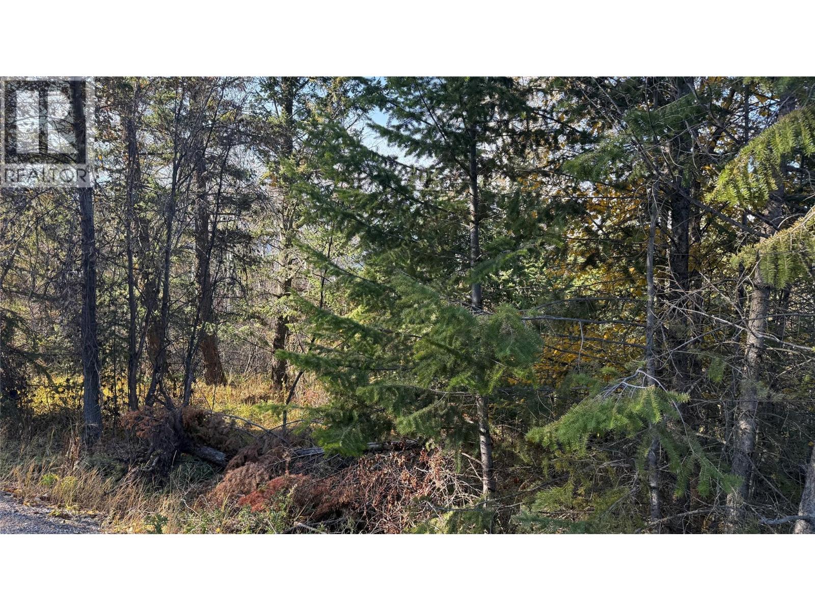 5185 Hot Springs Road, Fairmont Hot Springs, British Columbia  V0B 1L1 - Photo 2 - 10366968