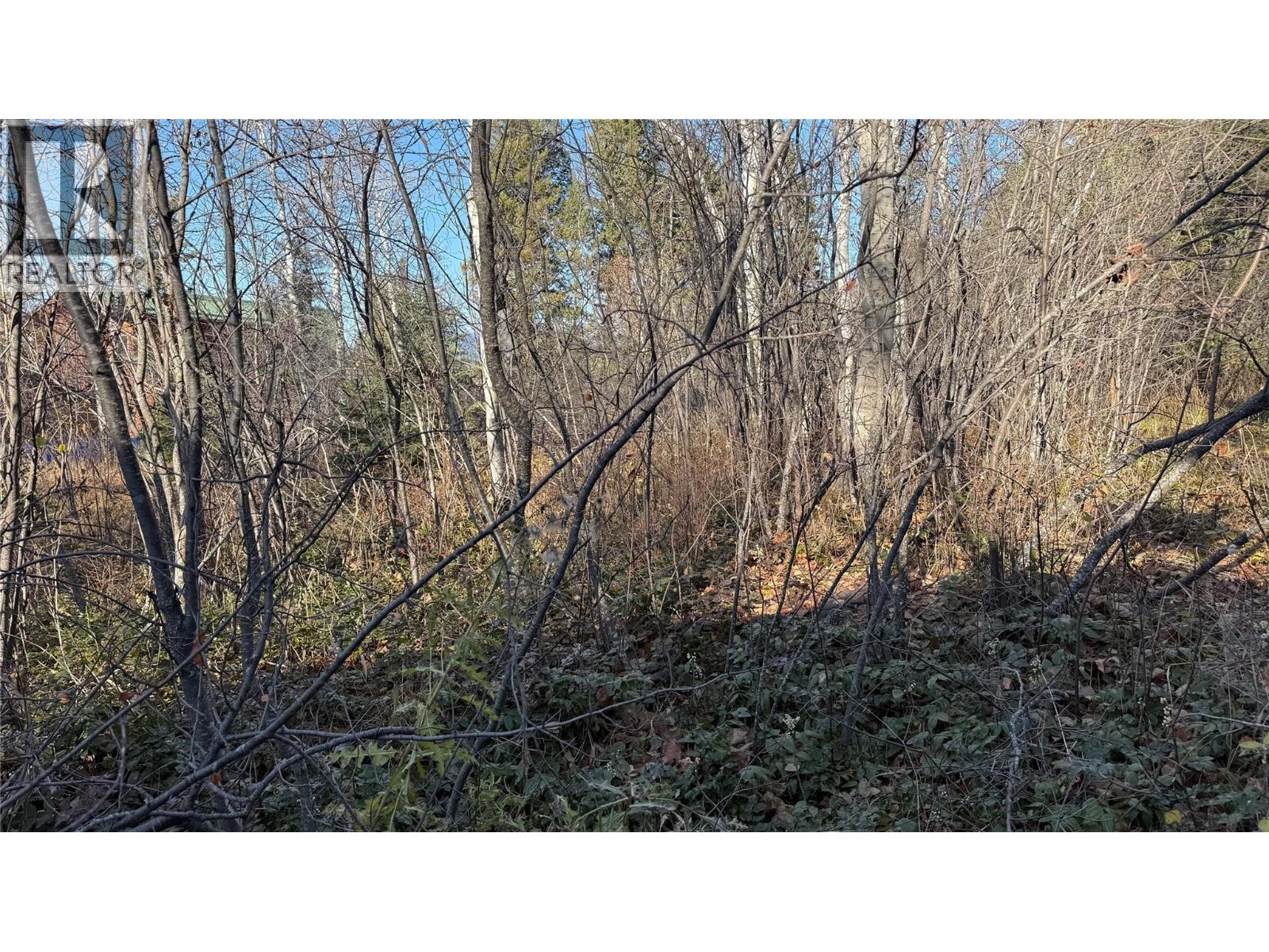 5185 Hot Springs Road, Fairmont Hot Springs, British Columbia  V0B 1L1 - Photo 25 - 10366968