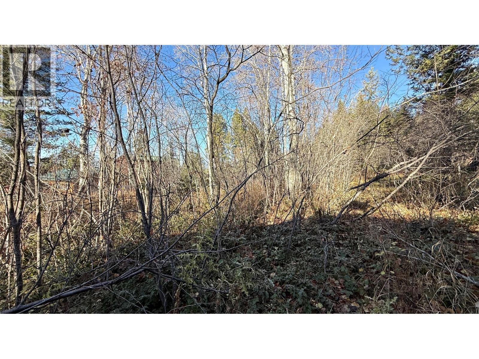 5185 Hot Springs Road, Fairmont Hot Springs, British Columbia  V0B 1L1 - Photo 26 - 10366968