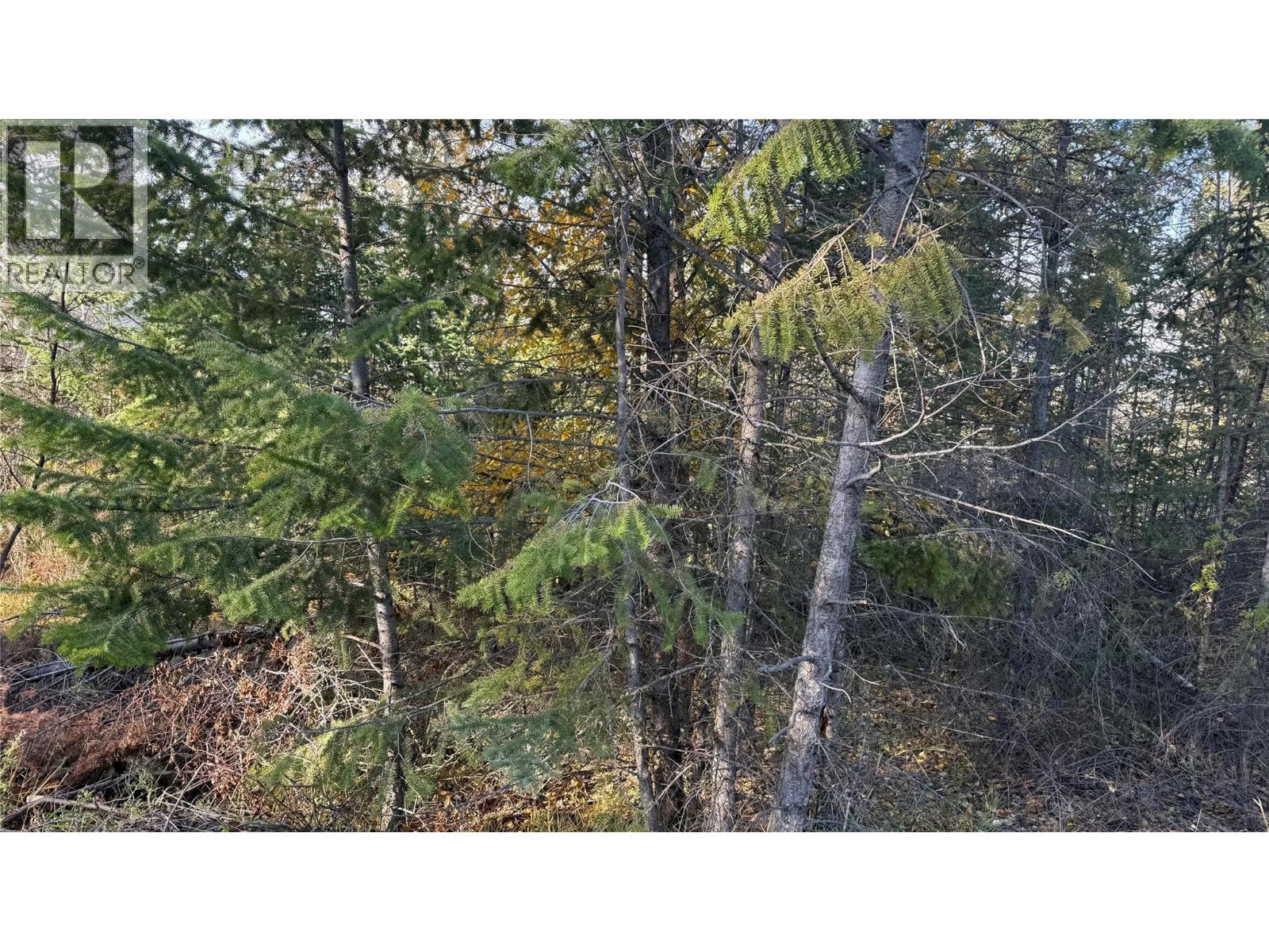 5185 Hot Springs Road, Fairmont Hot Springs, British Columbia  V0B 1L1 - Photo 4 - 10366968