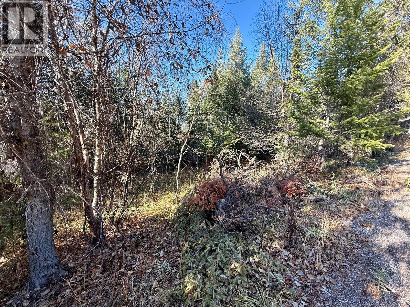 5185 Hot Springs Road, Fairmont Hot Springs, British Columbia  V0B 1L1 - Photo 20 - 10366968