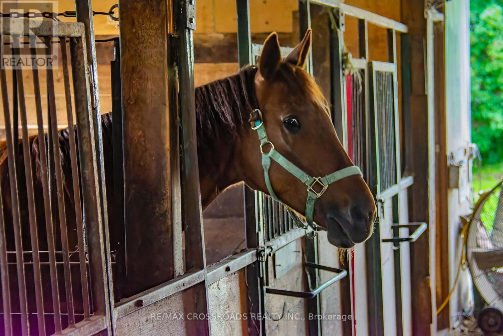 2300 Rosebank Road, Pickering, Ontario  L1X 2R5 - Photo 14 - E12513442