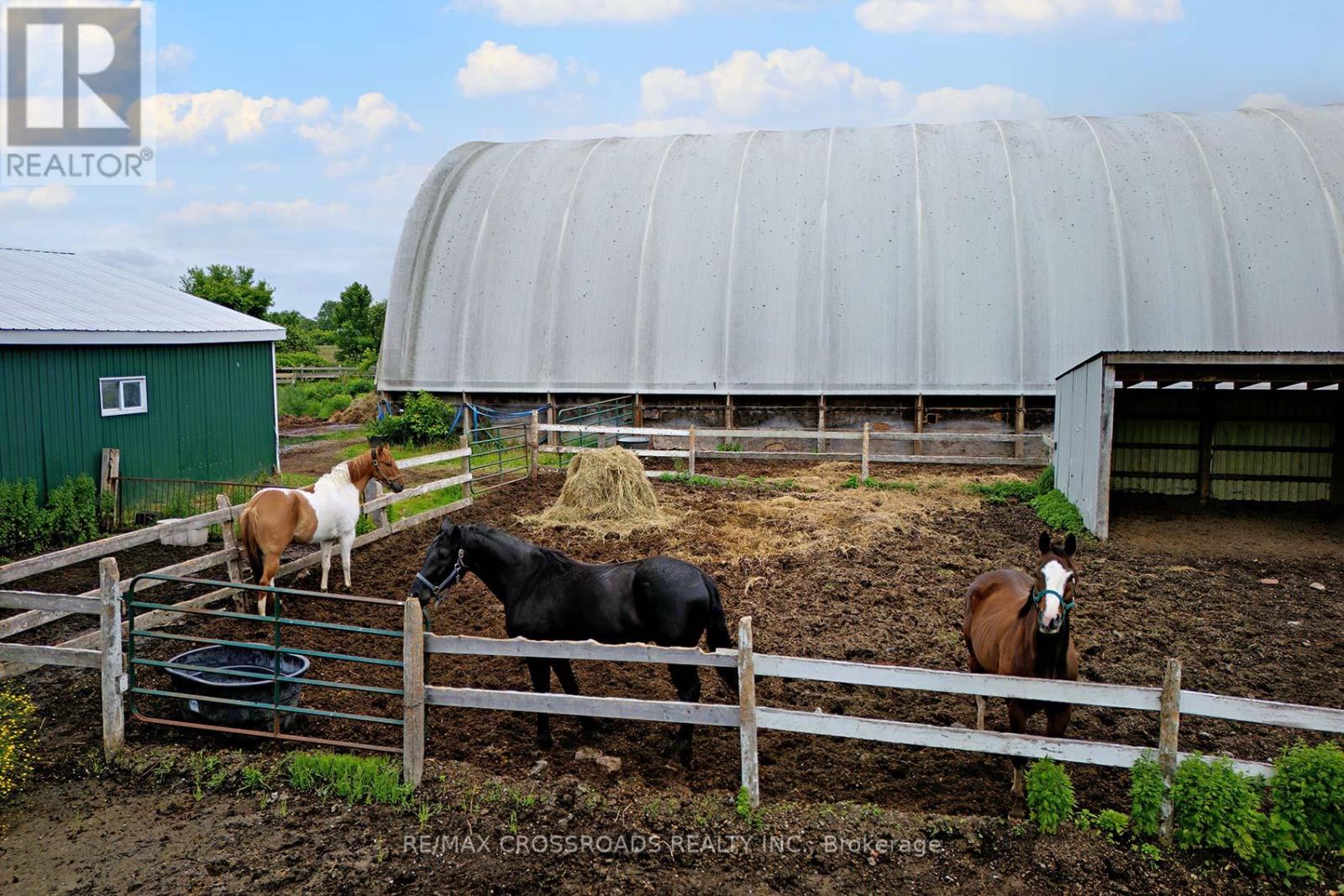 2300 Rosebank Road, Pickering, Ontario  L1X 2R5 - Photo 20 - E12513442