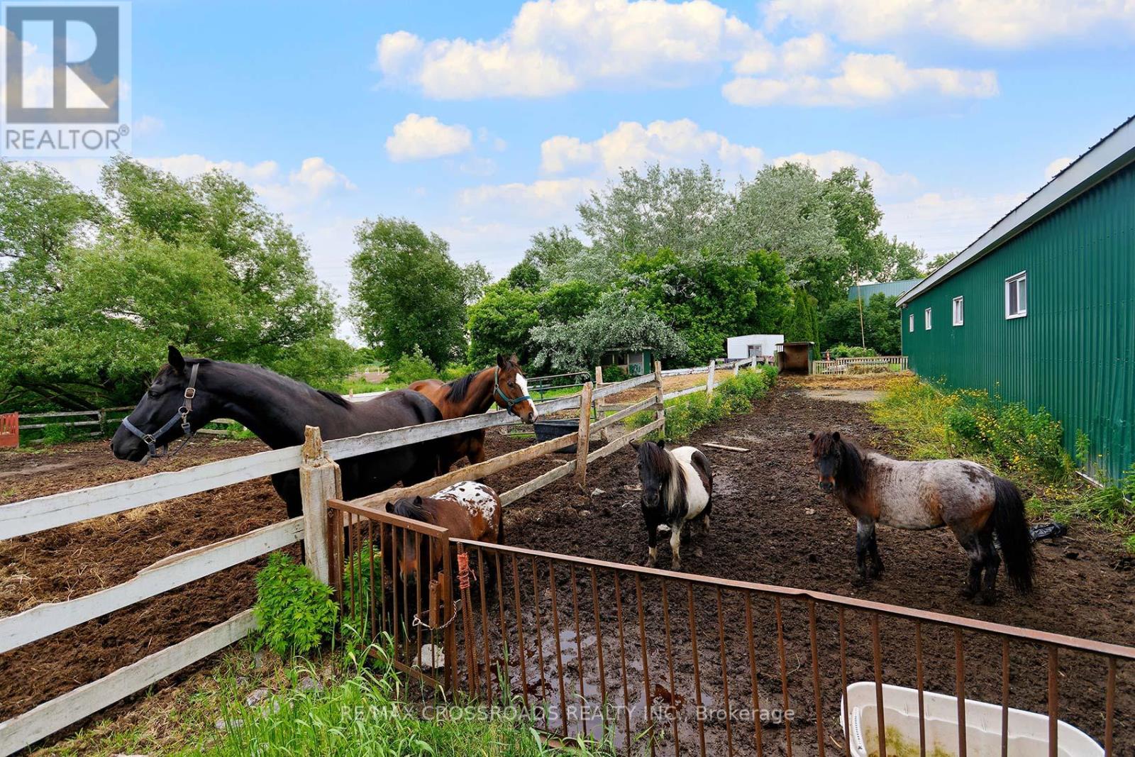 2300 Rosebank Road, Pickering, Ontario  L1X 2R5 - Photo 21 - E12513442