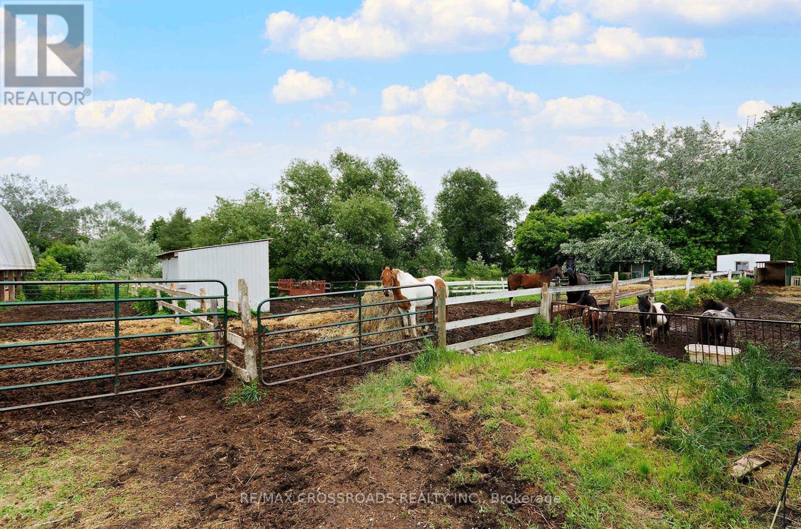 2300 Rosebank Road, Pickering, Ontario  L1X 2R5 - Photo 23 - E12513442