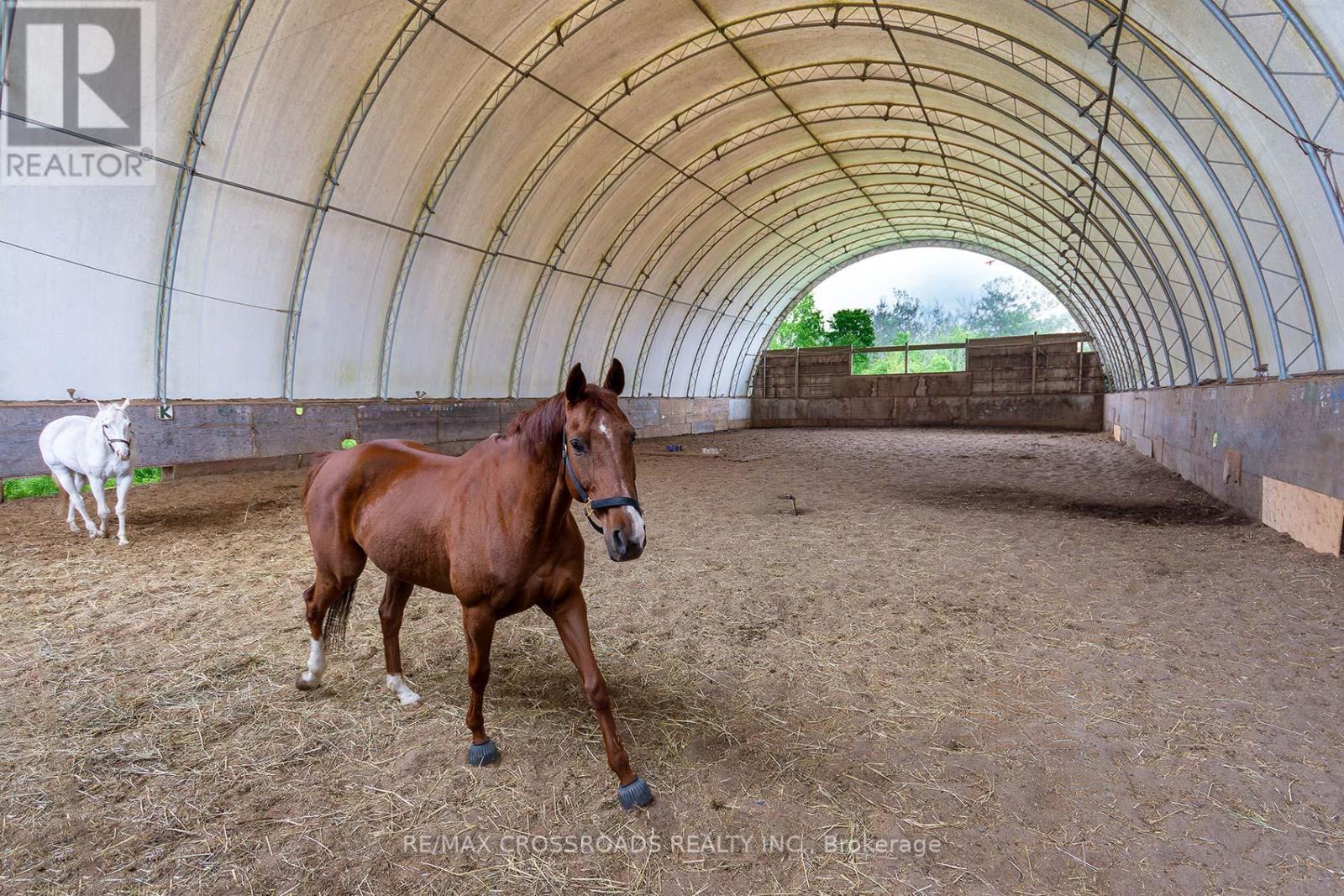 2300 Rosebank Road, Pickering, Ontario  L1X 2R5 - Photo 26 - E12513442