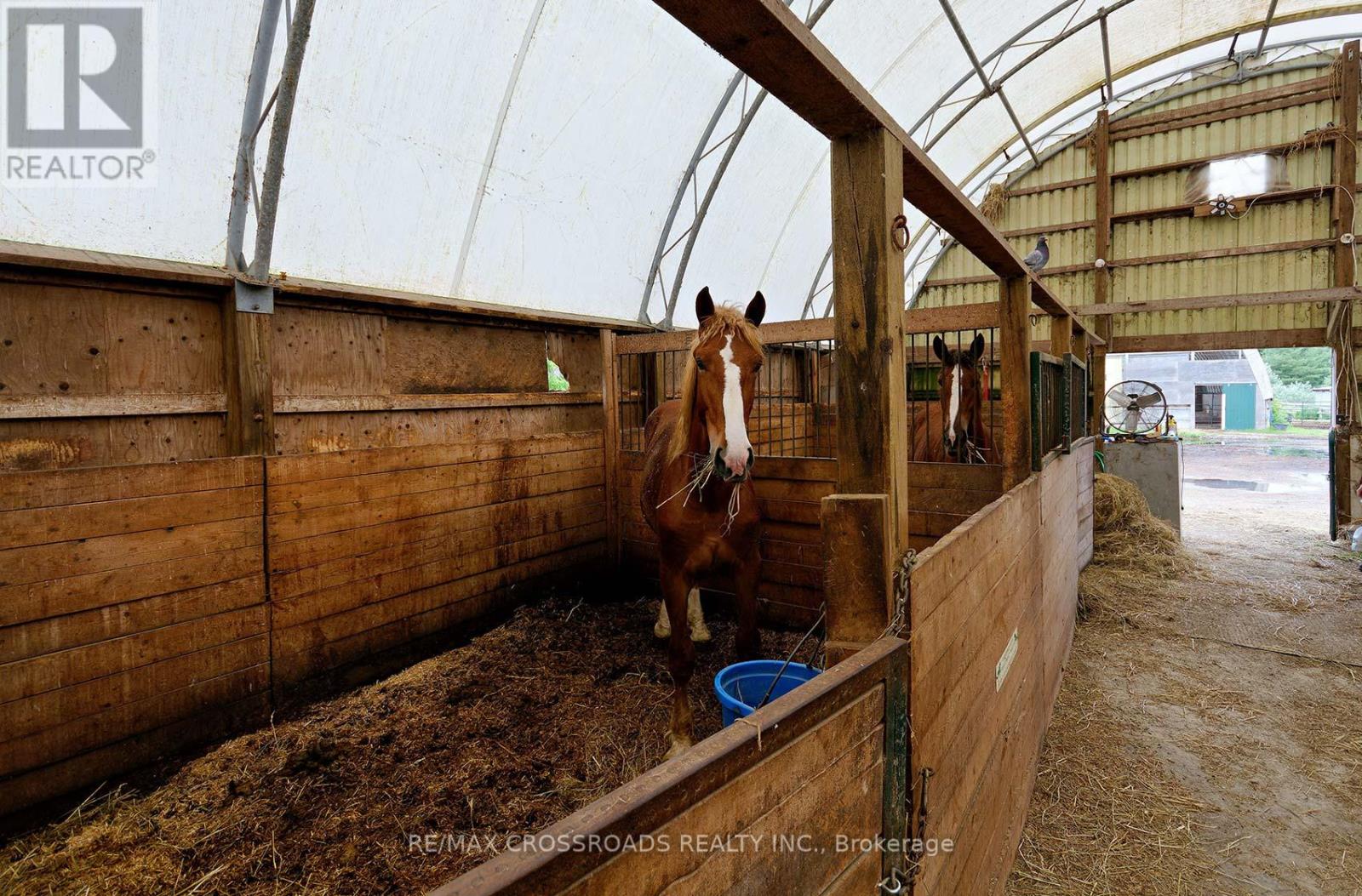 2300 Rosebank Road, Pickering, Ontario  L1X 2R5 - Photo 36 - E12513442