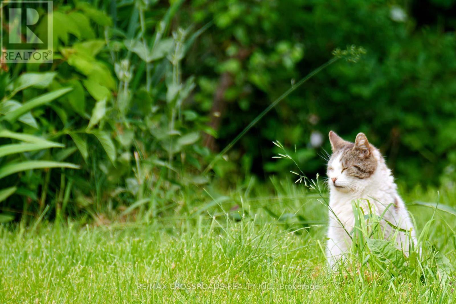 2300 Rosebank Road, Pickering, Ontario  L1X 2R5 - Photo 41 - E12513442