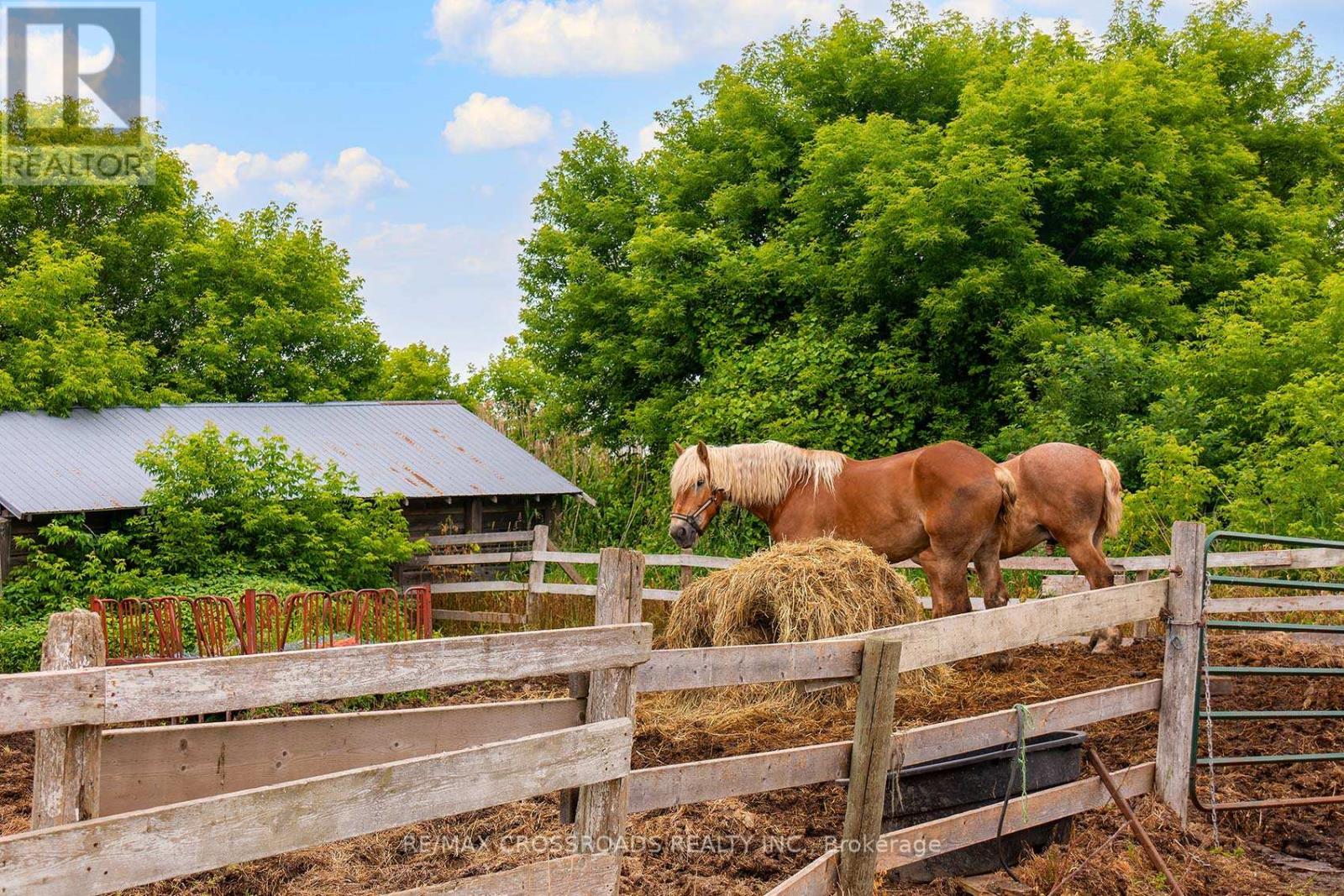 2300 Rosebank Road, Pickering, Ontario  L1X 2R5 - Photo 44 - E12513442