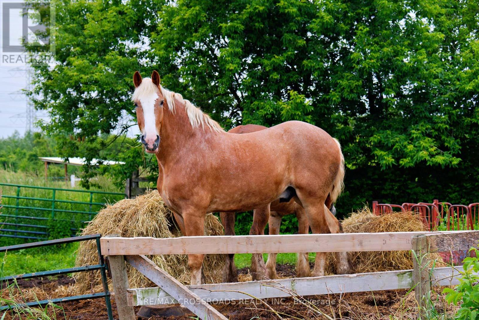 2300 Rosebank Road, Pickering, Ontario  L1X 2R5 - Photo 46 - E12513442