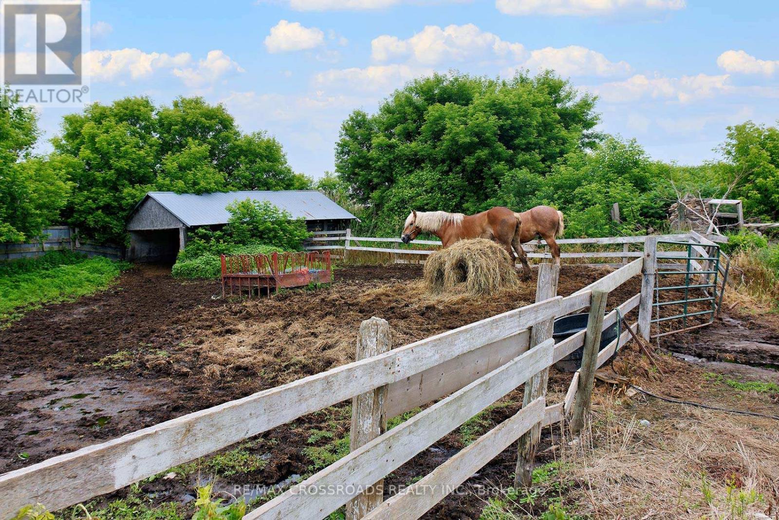 2300 Rosebank Road, Pickering, Ontario  L1X 2R5 - Photo 47 - E12513442