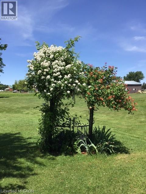 14 Fairview Crescent, Listowel, Ontario  N4W 3G8 - Photo 26 - 40784676