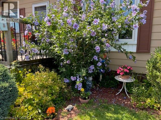 14 Fairview Crescent, Listowel, Ontario  N4W 3G8 - Photo 4 - 40784676