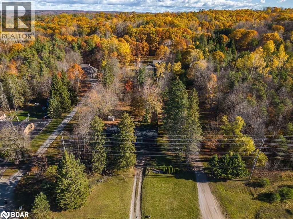 11707 27 County Road, Springwater, Ontario L0L 1X0 - Photo 47 - 40785027