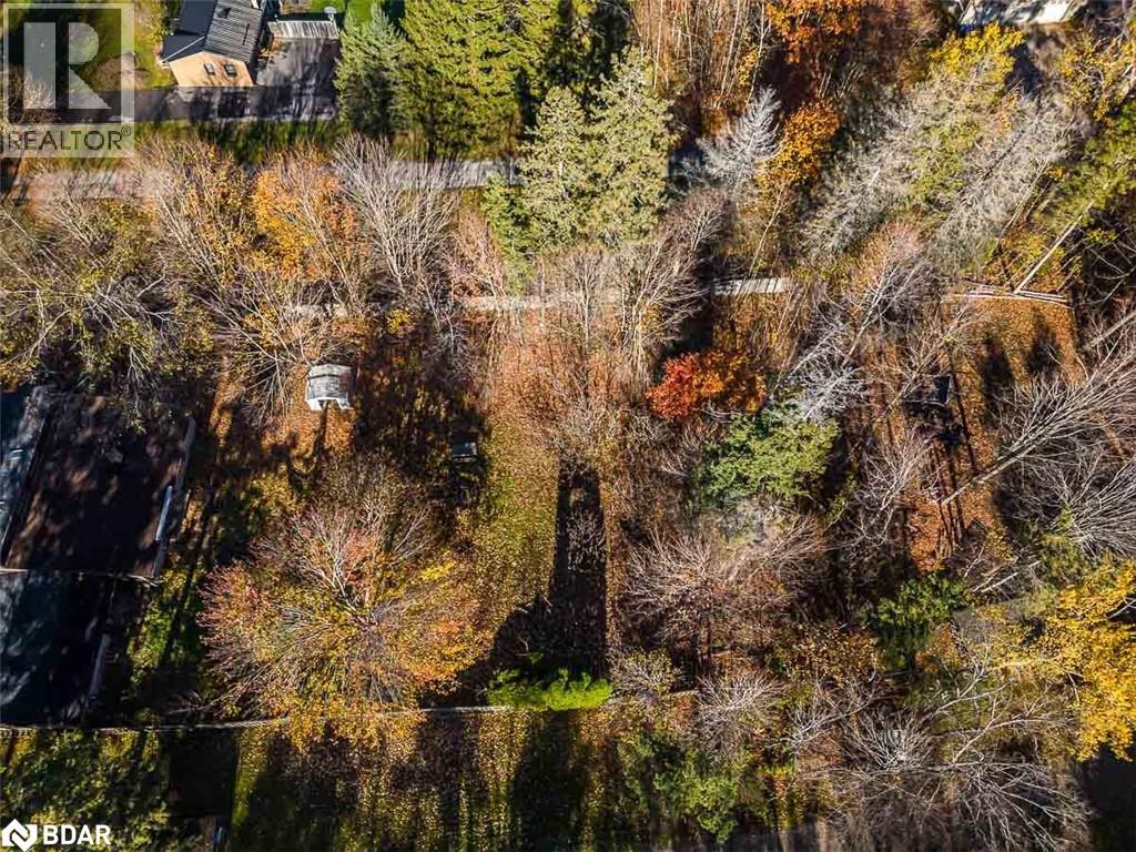 11707 27 County Road, Springwater, Ontario L0L 1X0 - Photo 41 - 40785027