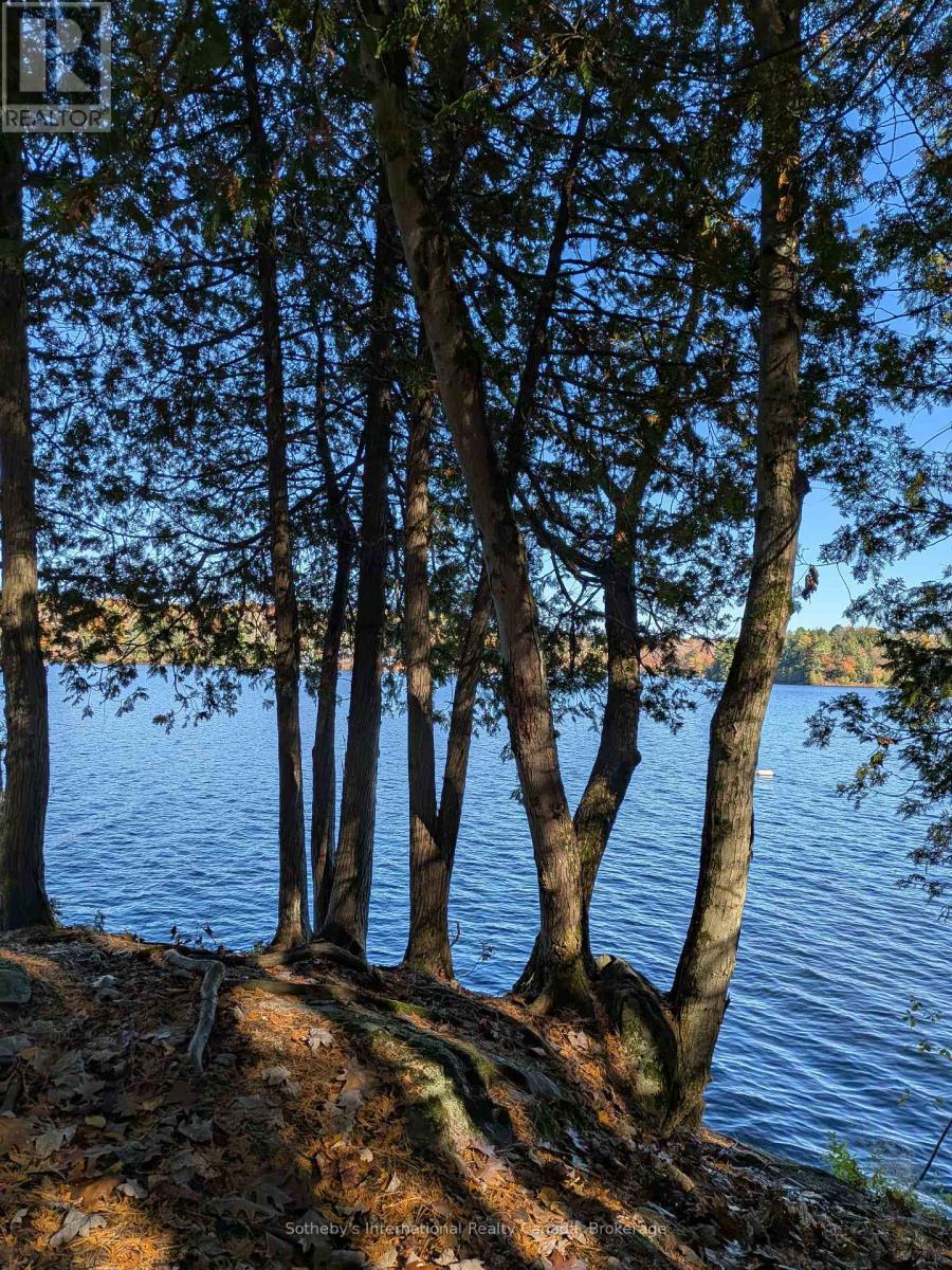 1063 Whiteside Road, Muskoka Lakes, Ontario P0B 1J0 - Photo 37 - X12513662