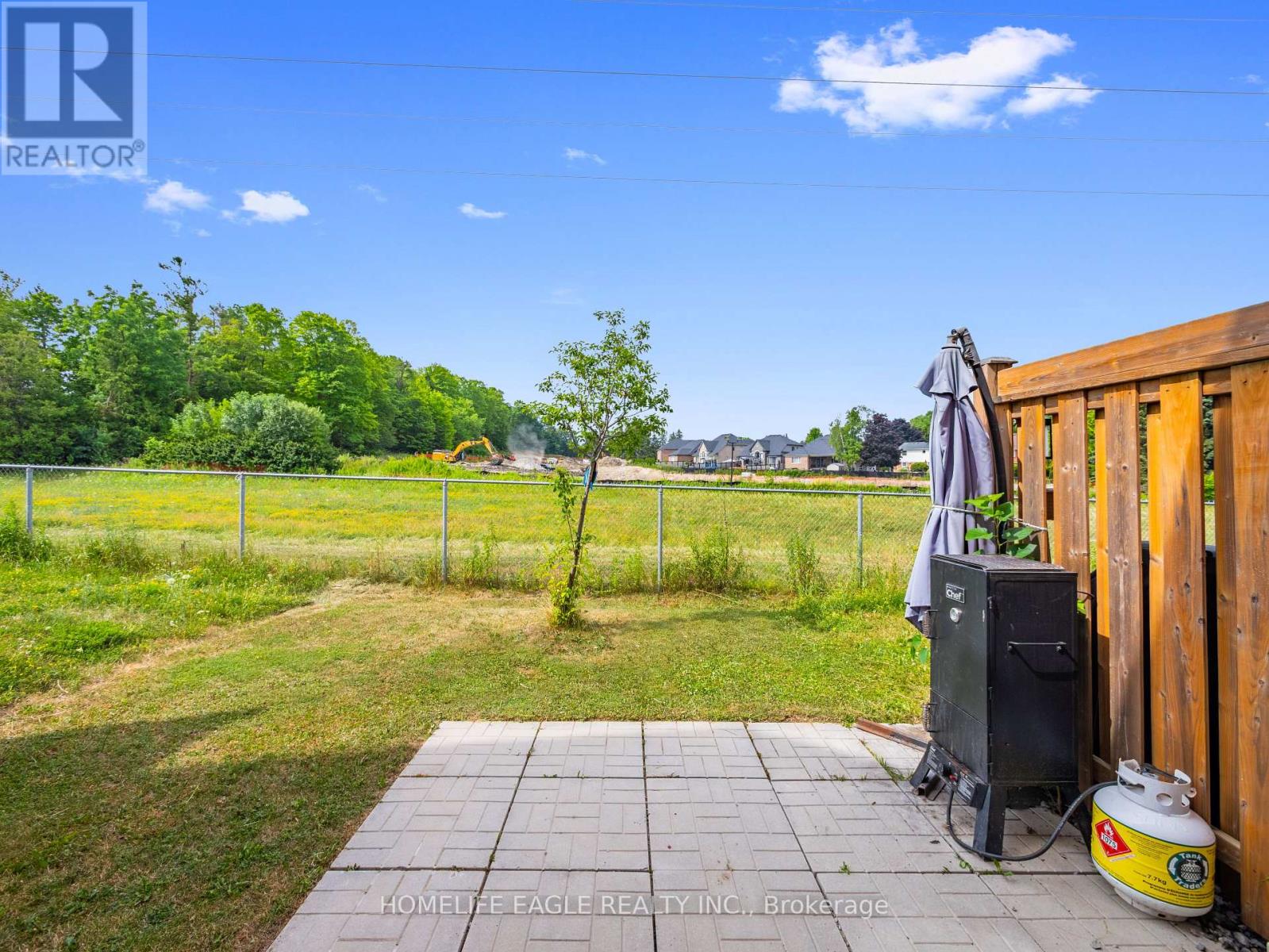 228 Bennett Street, Newmarket, Ontario  L3X 1B8 - Photo 11 - N12513688