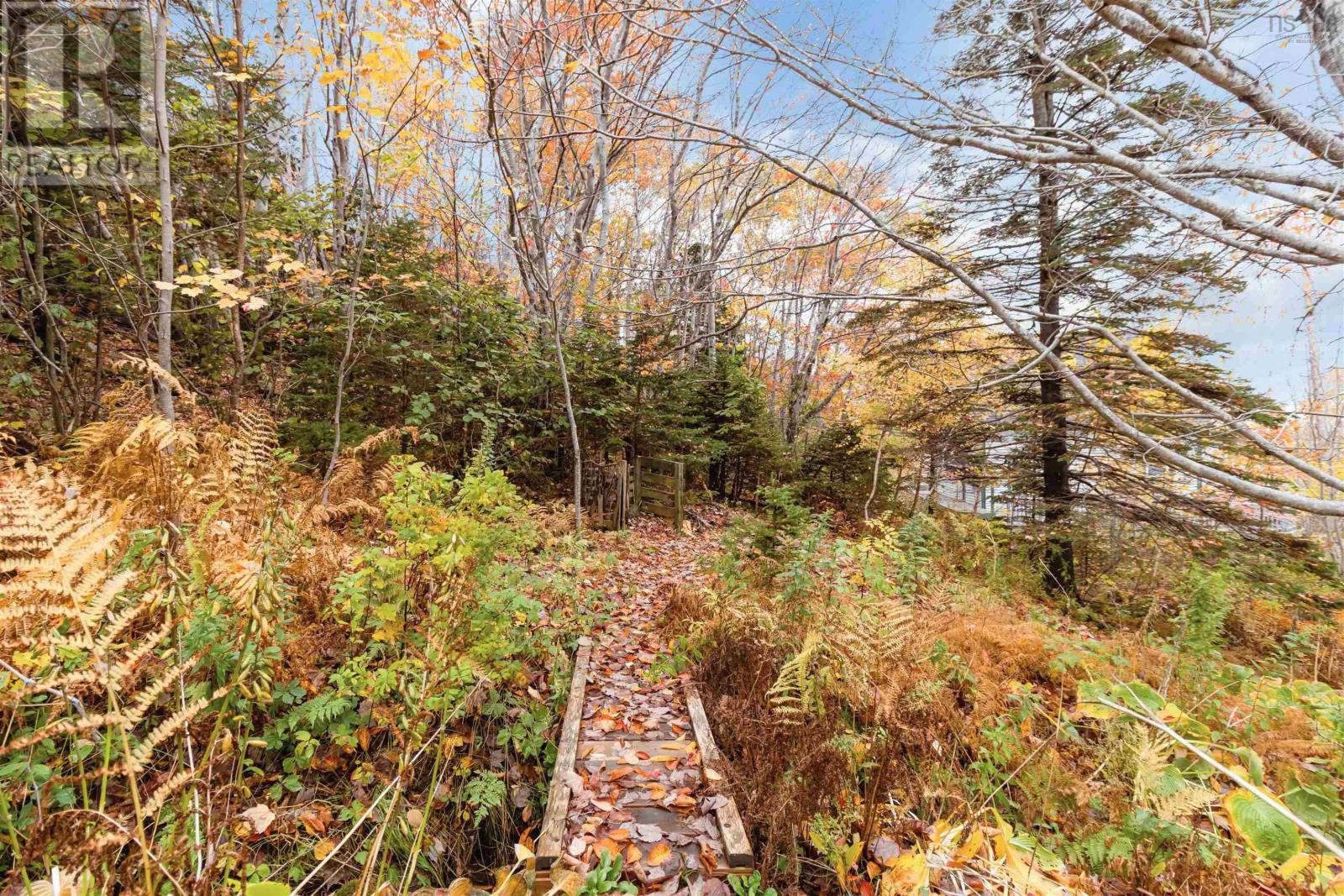 500 Mill Cove Shore Road, Mill Cove, Nova Scotia  B0J 1T0 - Photo 9 - 202527351