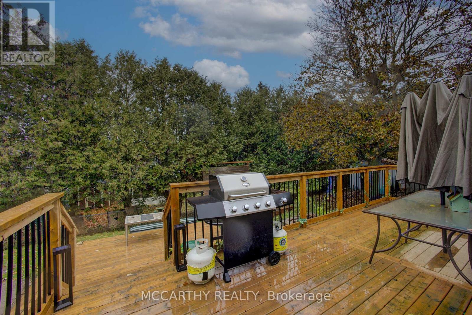 124 Muriel Street, Shelburne, Ontario  L0N 1S1 - Photo 39 - X12513810