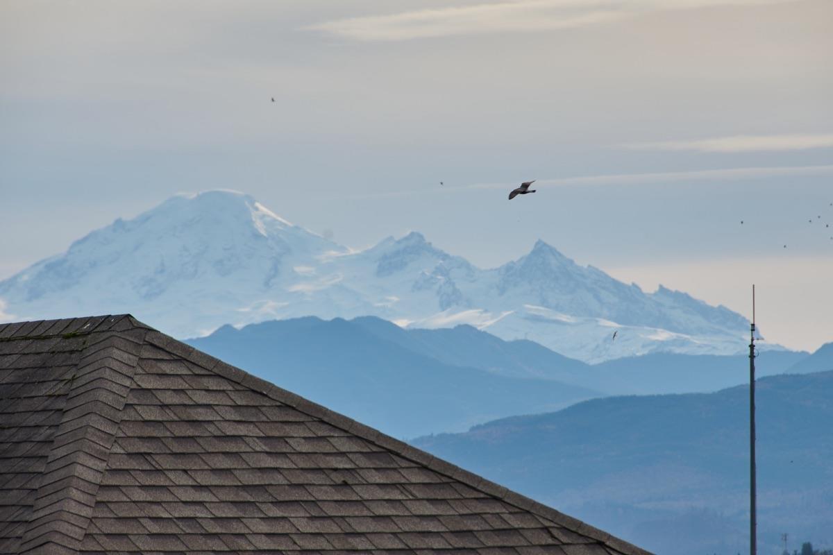 213 30525 Cardinal Avenue, Abbotsford, British Columbia V2T 0A8 - Photo 23 - R3065188