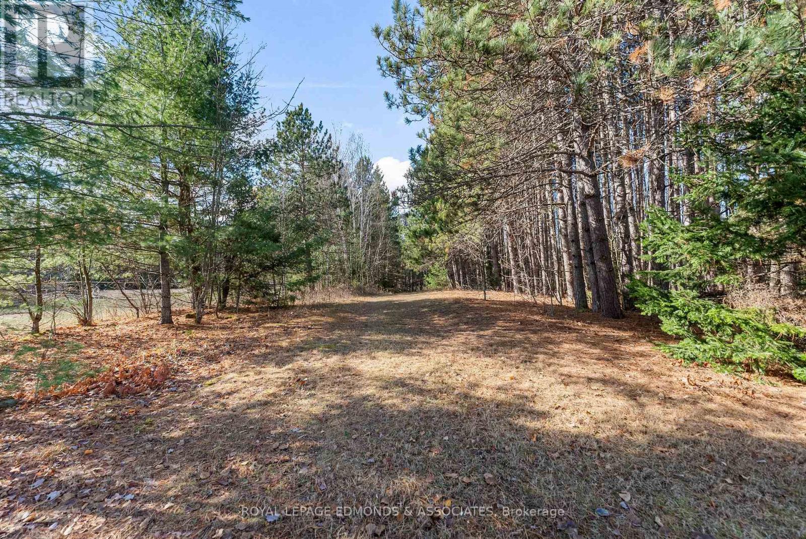 2323 B Line Road, Laurentian Valley, Ontario K8A 6W8 - Photo 28 - X12514142