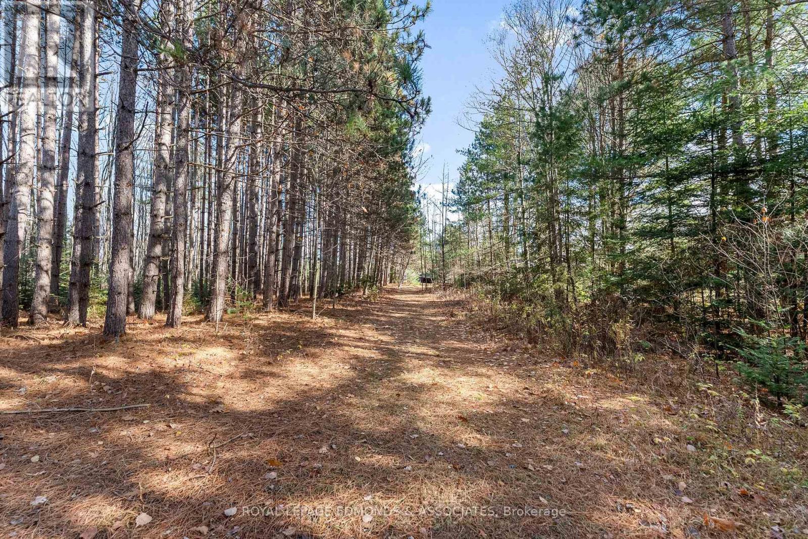 2323 B Line Road, Laurentian Valley, Ontario K8A 6W8 - Photo 29 - X12514142