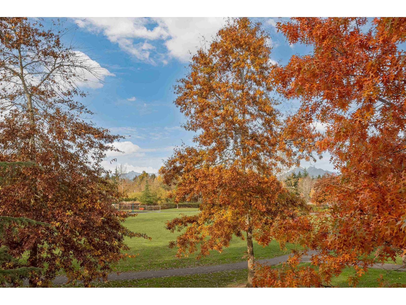 69 22225 50 Avenue, Langley, British Columbia  V2Y 0G7 - Photo 20 - R3065137