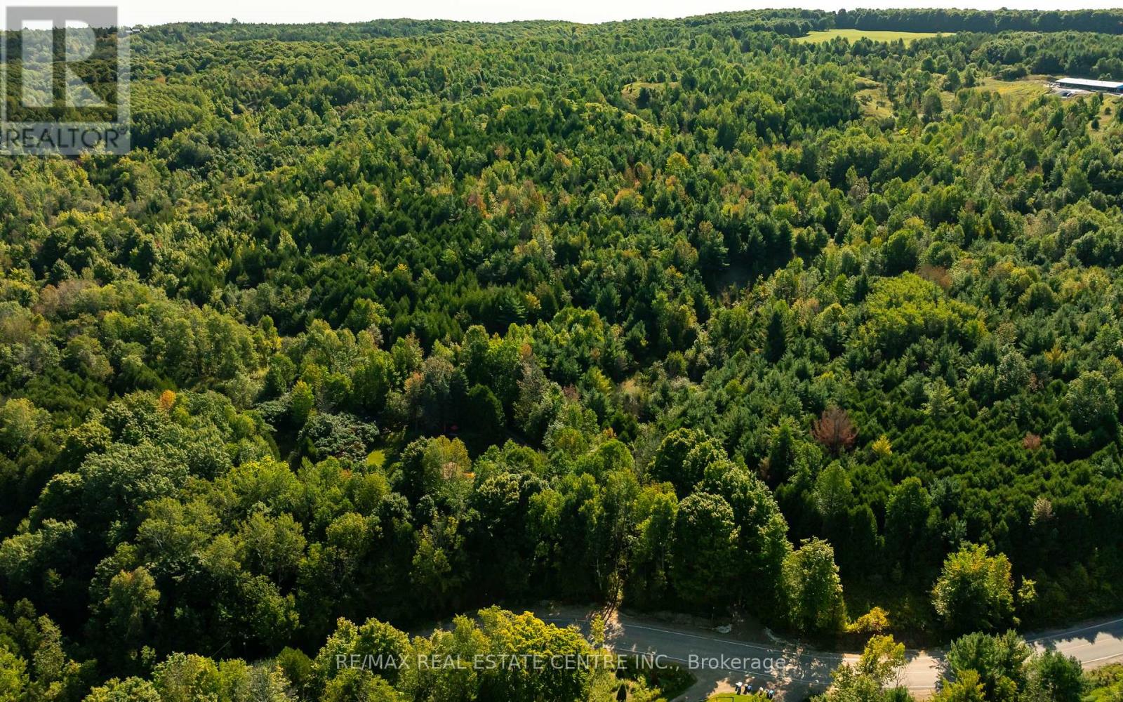 637217 Prince Of Wales Road, Mulmur, Ontario L9V 0C2 - Photo 13 - X12514172