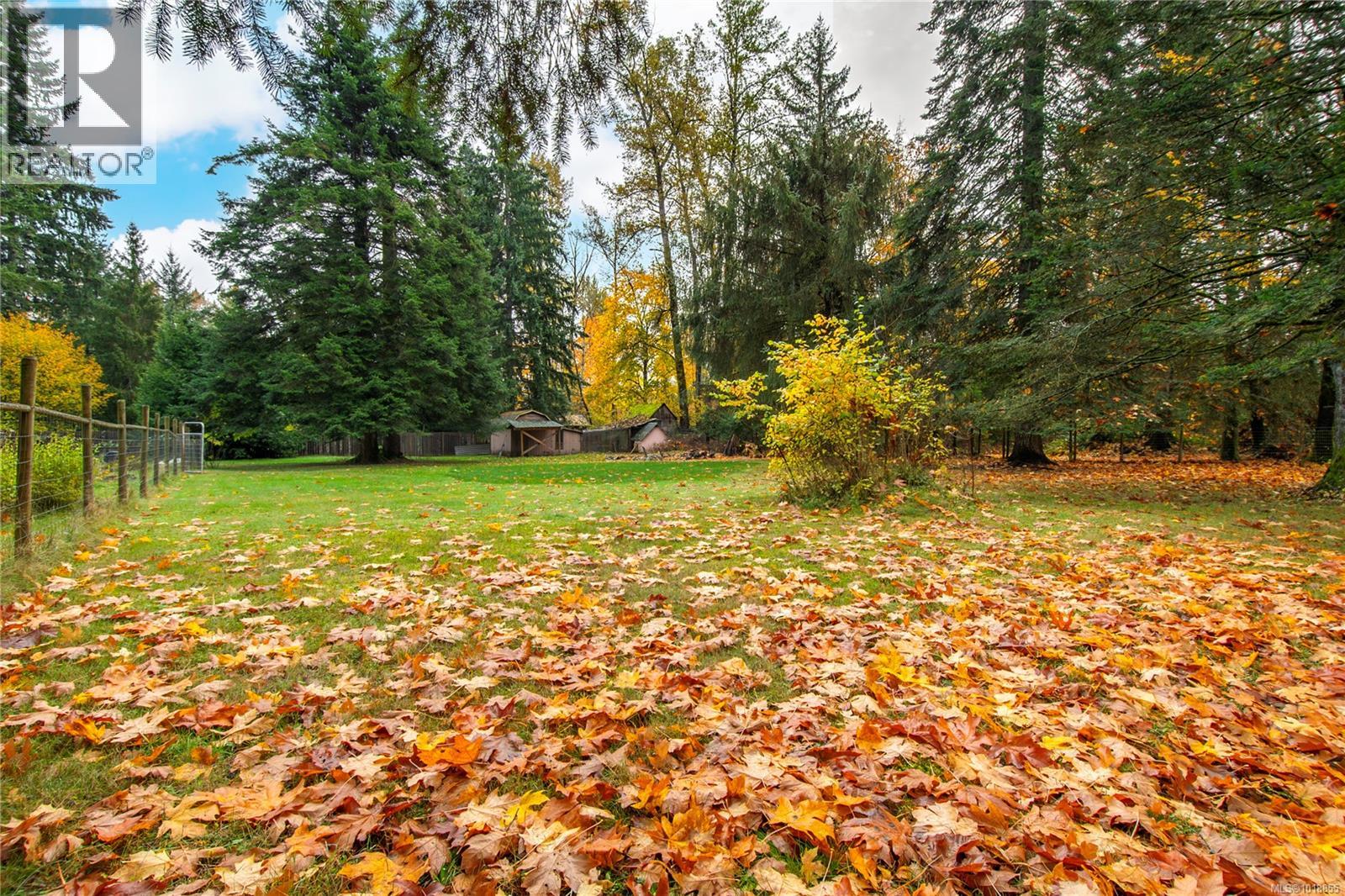 3413 Heather Rd, Black Creek, British Columbia  V9J 1E5 - Photo 10 - 1018855