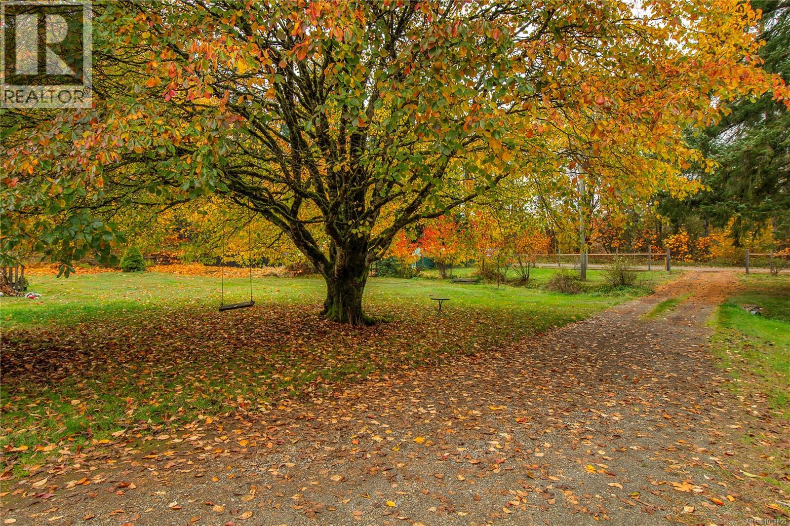 3413 Heather Rd, Black Creek, British Columbia  V9J 1E5 - Photo 5 - 1018855