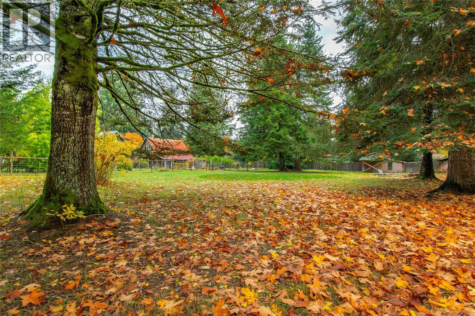 3413 Heather Rd, Black Creek, British Columbia  V9J 1E5 - Photo 61 - 1018855