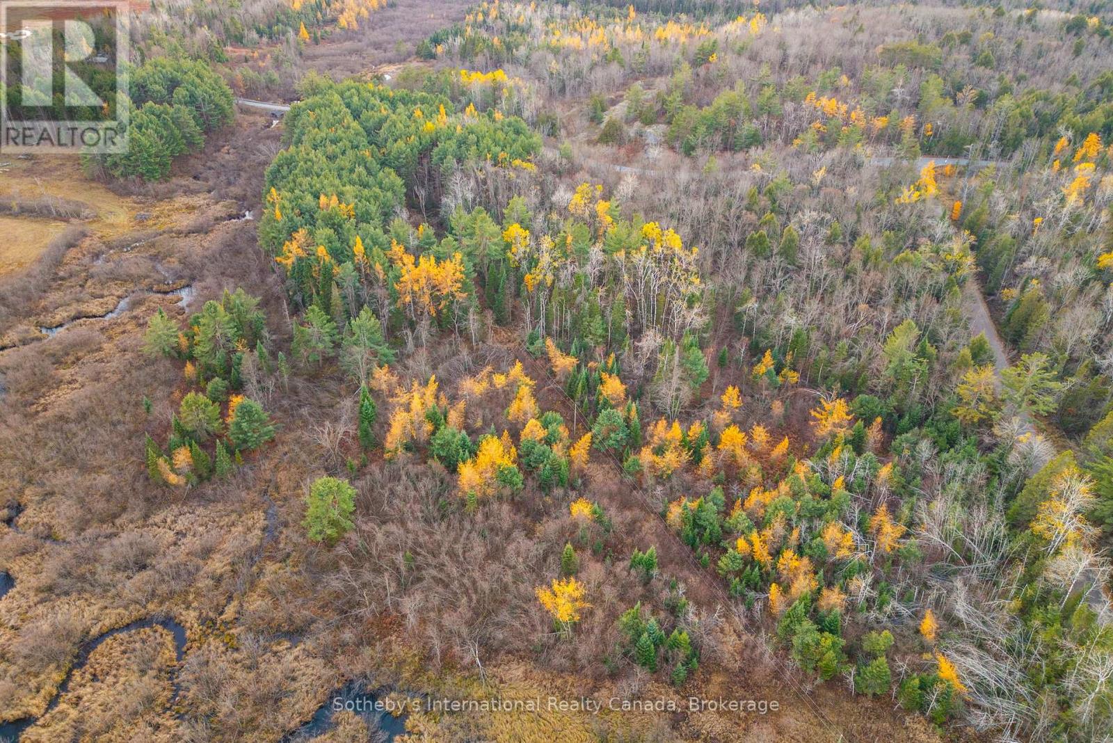 00 Barkway Road, Gravenhurst, Ontario  P1P 1R3 - Photo 11 - X12514506