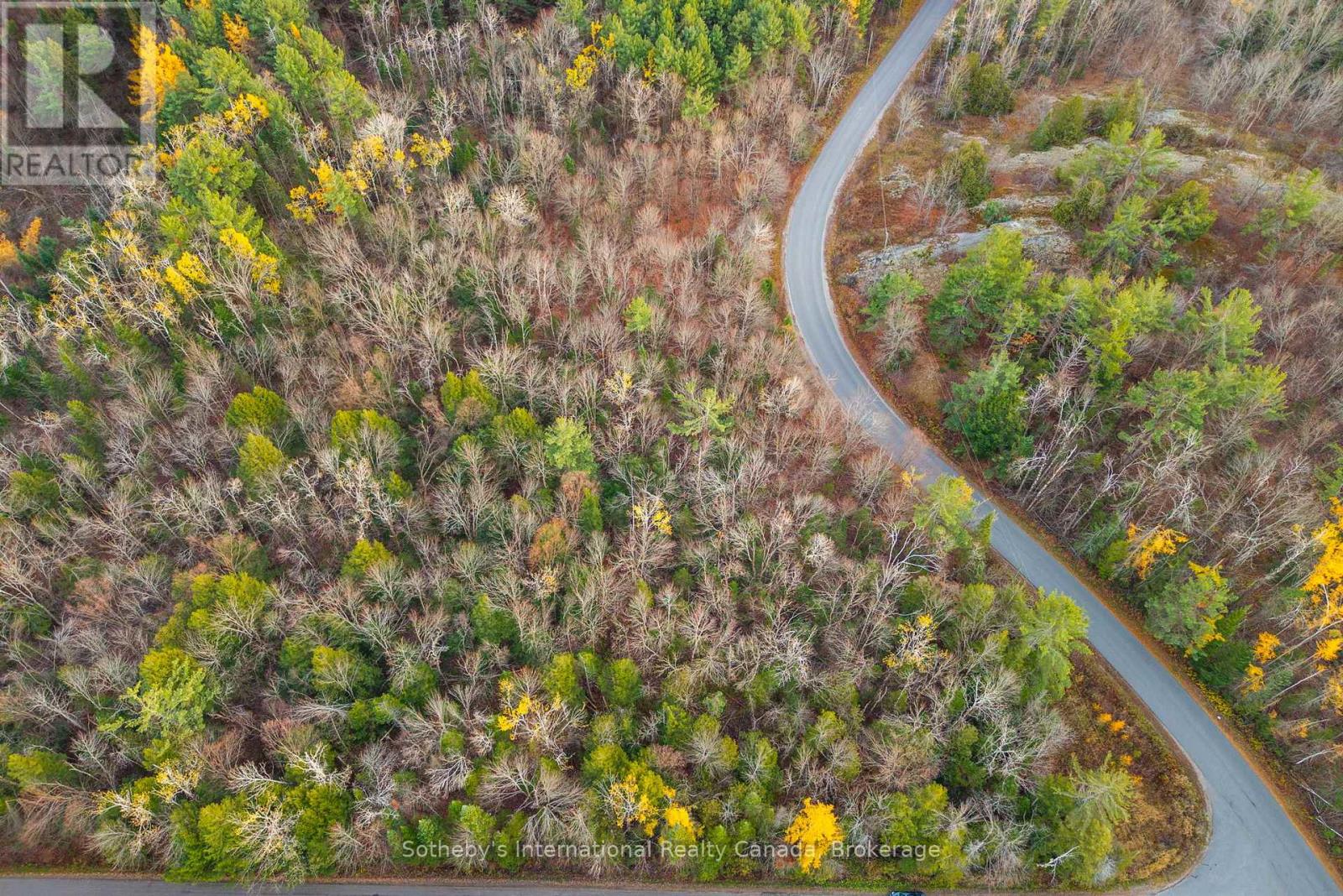 00 Barkway Road, Gravenhurst, Ontario  P1P 1R3 - Photo 5 - X12514506