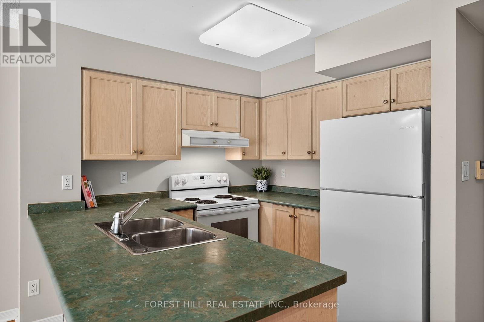 311 - 19 Northern Heights Drive, Richmond Hill, Ontario  L4B 4M4 - Photo 8 - N12514338