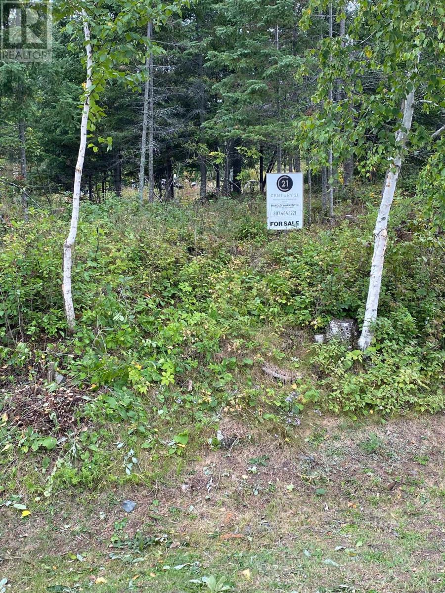 17 Au Lac Retreats Rd, Government Dock, Sioux Narrows, Ontario  P0X 1N0 - Photo 1 - TB253412