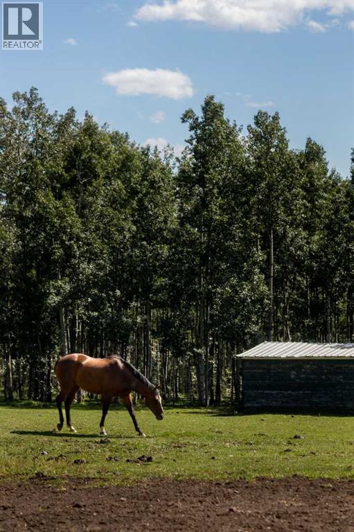 162104 376 Street W, Rural Foothills County, Alberta  T3Z 3R3 - Photo 50 - A2252043