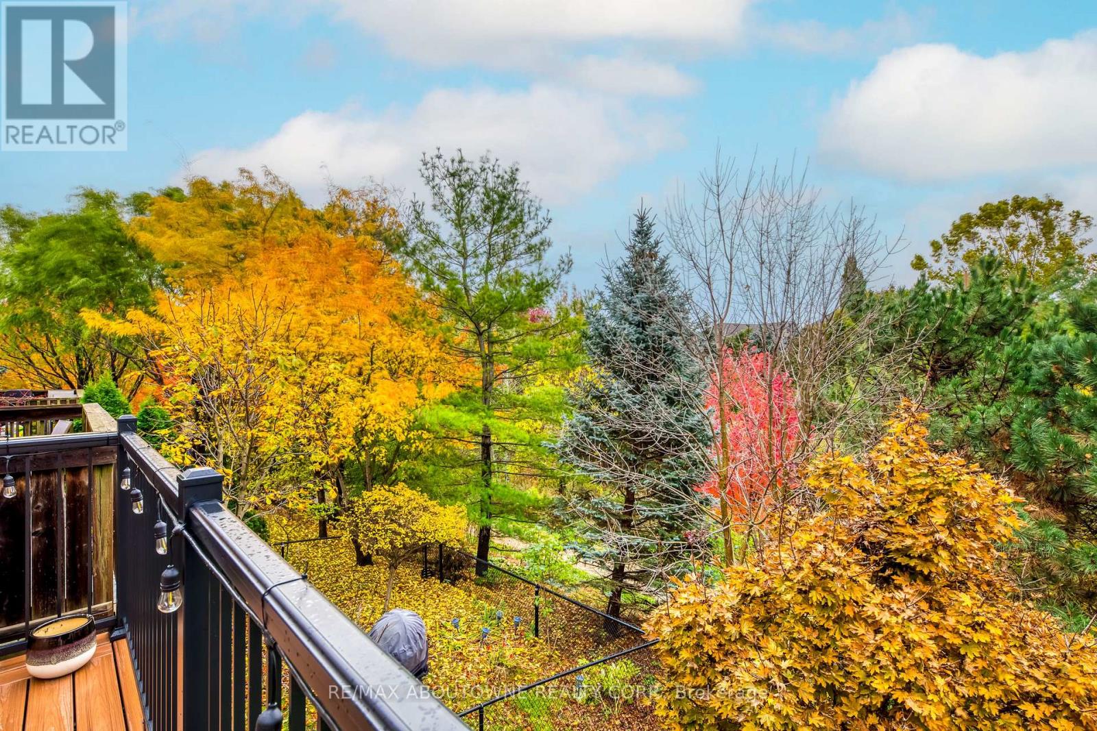 2246 Fairbairn Court, Oakville, Ontario  L6M 4R2 - Photo 44 - W12512962