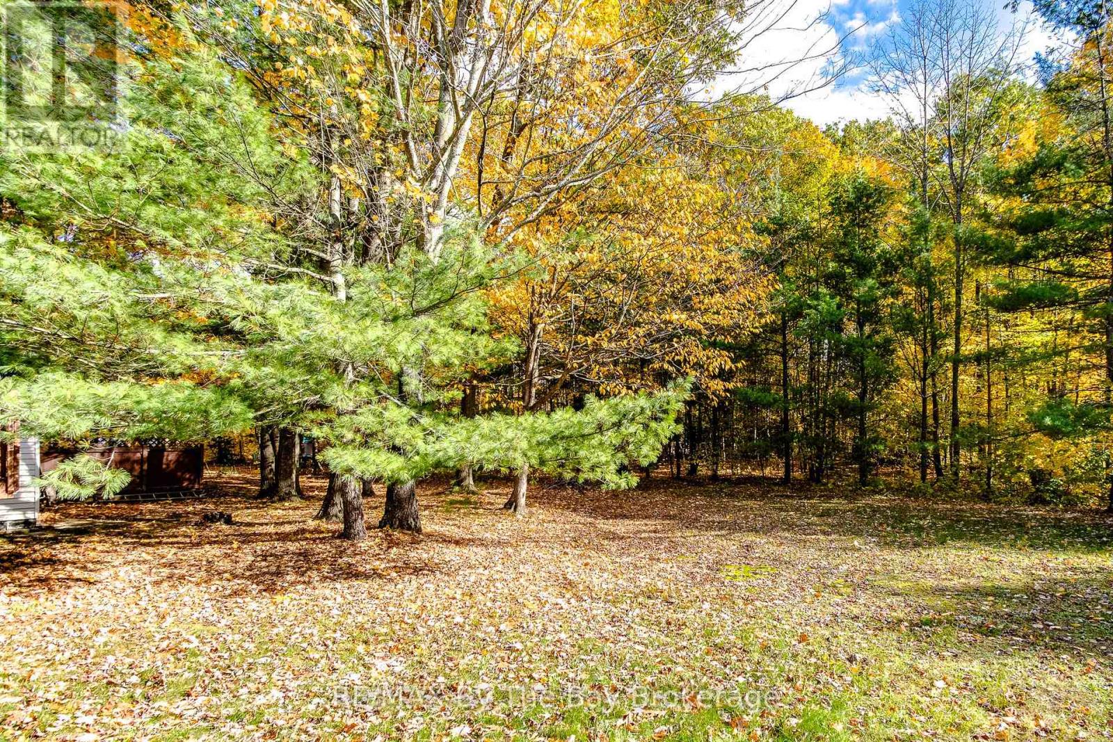 57 Tall Pines Drive, Tiny, Ontario L9M 0H4 - Photo 31 - S12490294