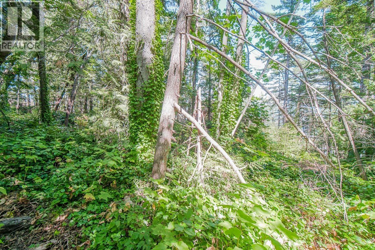 16 Passage Island, West Vancouver, British Columbia  V7W 1V7 - Photo 3 - R2833774