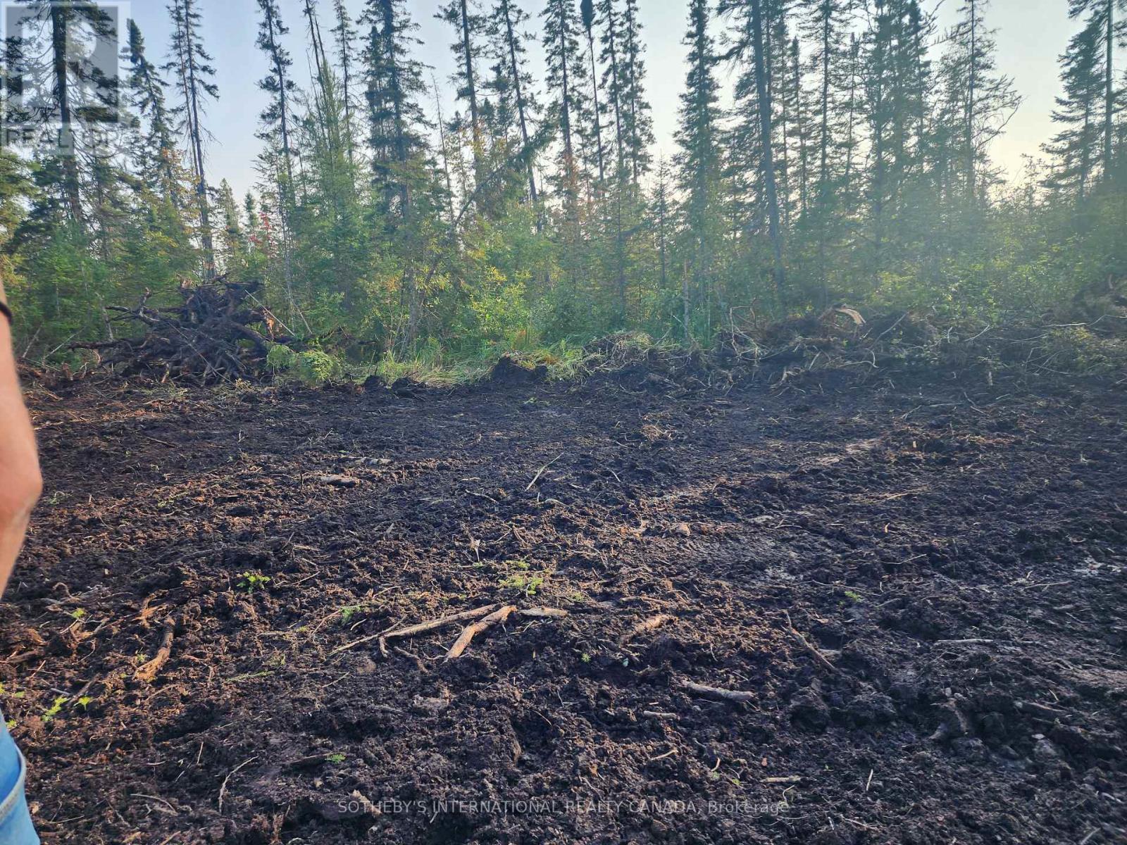 1022 THOMPSON ROAD, Bracebridge, Ontario