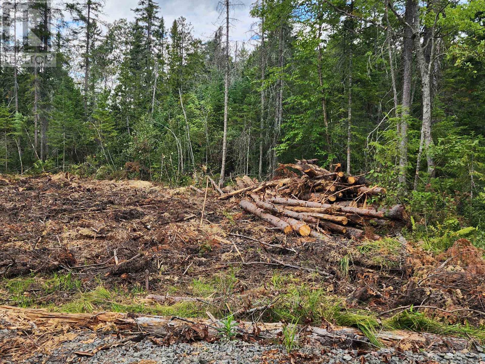 1022 Thompson Road, Bracebridge, Ontario  P1L 1X1 - Photo 2 - X12514434