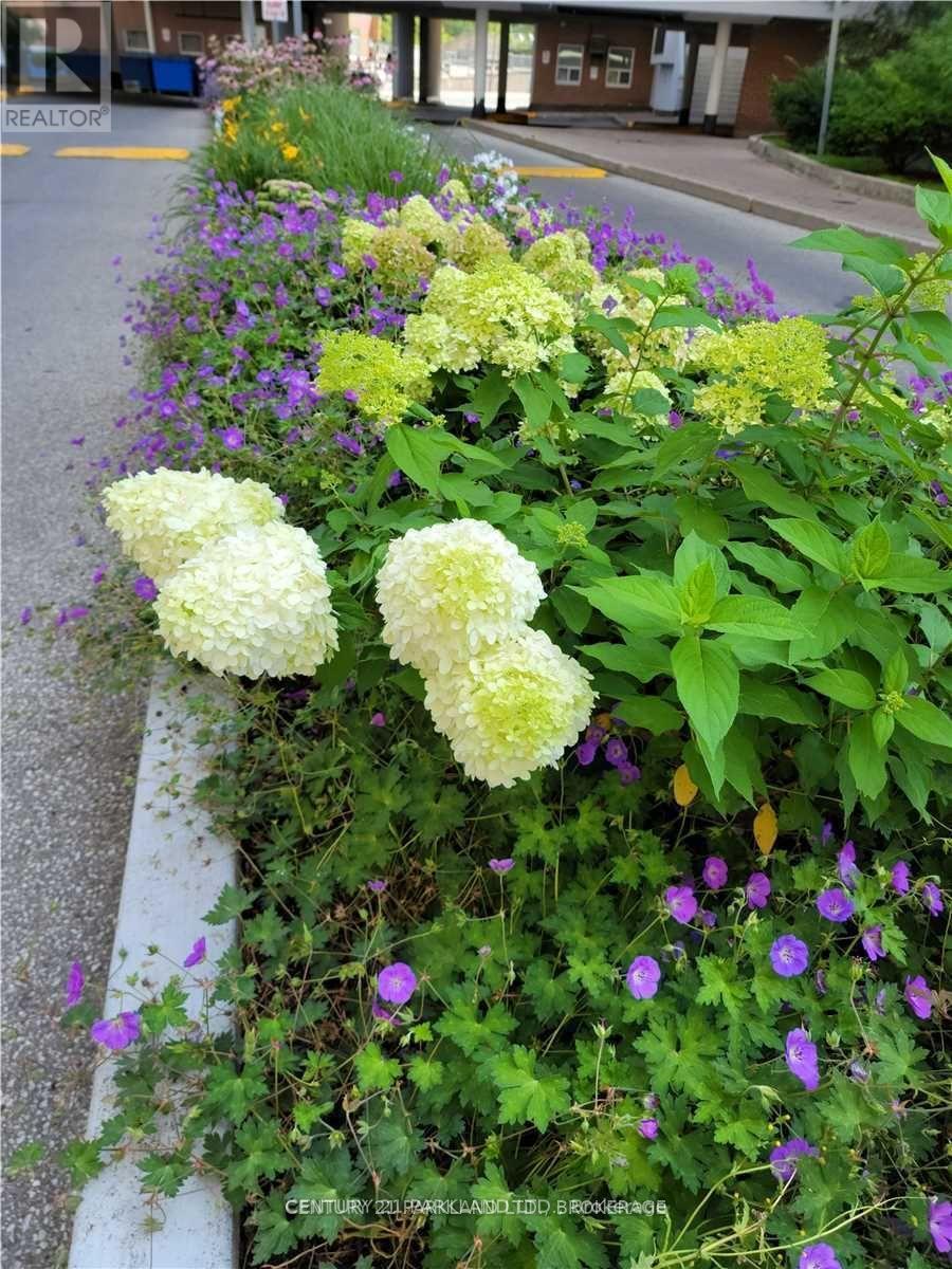 1102 - 3 Massey Square, Toronto, Ontario  M4C 5L5 - Photo 9 - E12514840